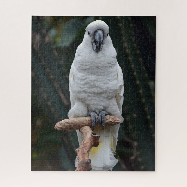Cute white cockatoo           jigsaw puzzle (Vertical)