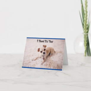 Cute White Dog Birthday Greeting Card