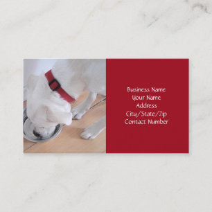 Cute White Dog Drinking Water Red Christmas Business Card