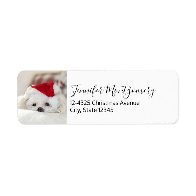 Cute White Dog in a Red Christmas Hat (Front)