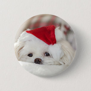 Cute White Dog in a Red Christmas Hat 6 Cm Round Badge