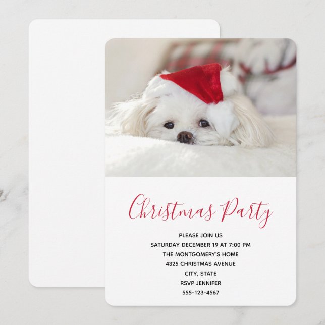 Cute White Dog in a Red Christmas Hat Invitation (Front/Back)