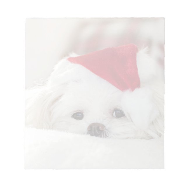 Cute White Dog in a Red Christmas Hat Notepad (Front)