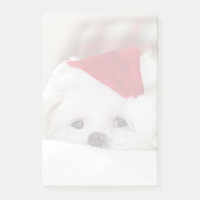 Cute White Dog in a Red Christmas Hat Post-it Notes (Front)