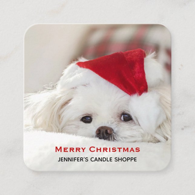 Cute White Dog in a Red Christmas Hat Square Business Card (Front)
