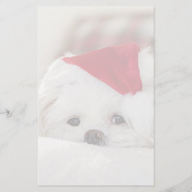 Cute White Dog in a Red Christmas Hat Stationery (Front)