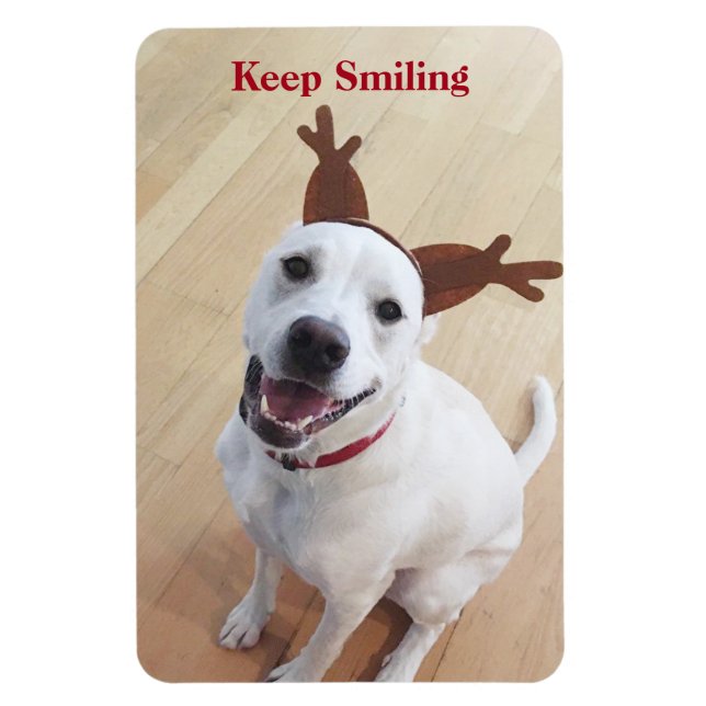 Cute White Dog Keep Smiling Encouraging Christmas  Magnet (Vertical)