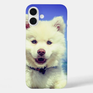 Cute White Dog Phone Case