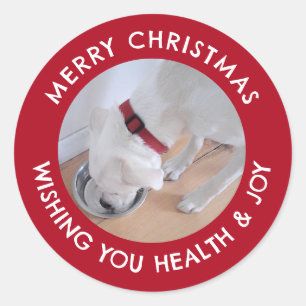 Cute White Dog Photo Healthy Merry Christmas Red Classic Round Sticker