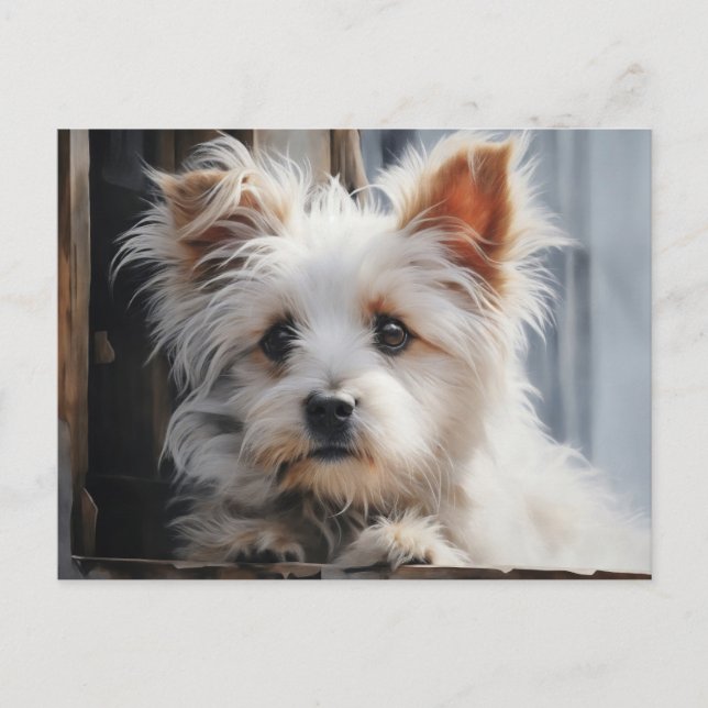 Cute White Dog Portrait Postcard (Front)