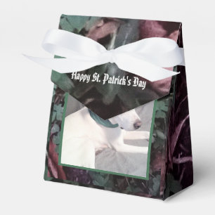 Cute White Dog Wearing Green Scarf Shamrocks Favour Box