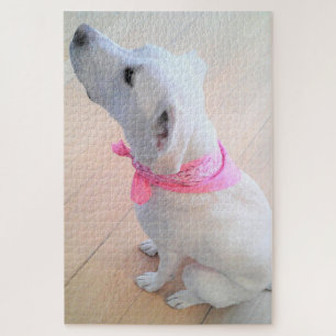 Cute White Dog Wearing Pink Scarf Jigsaw Puzzle