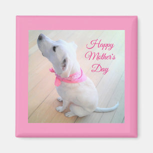 Cute White Dog Wearing Pink Scarf Mother's Day Magnet