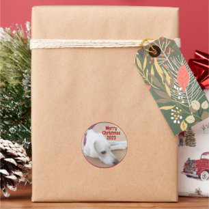 Cute White Dog Wearing Red Collar Christmas Classic Round Sticker