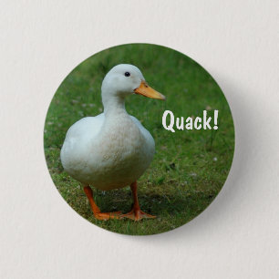 Cute white duck button / badge