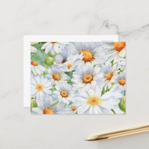 Cute White Floral Vintage Watercolor Daisies Postcard