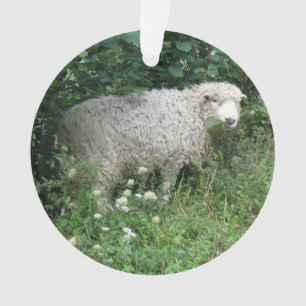 Cute White Fluffy Sheep Eating Acrylic Ornament
