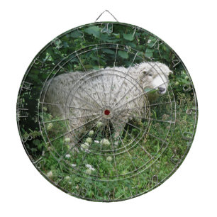 Cute White Fluffy Sheep Eating Dart Board