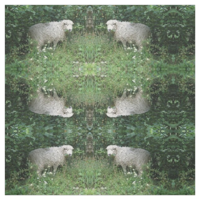 Cute White Fluffy Sheep Eating Patterned Animal Fabric (Swatch)