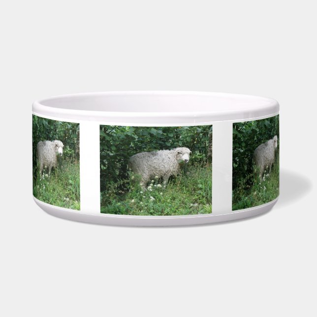 Cute White Fluffy Sheep Eating Pet Bowl (Front)