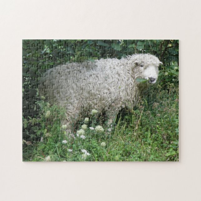Cute White Fluffy Sheep Eating Puzzle (Horizontal)