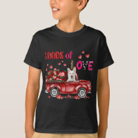 Cute White German Shepherd Dog Driving Red Truck H