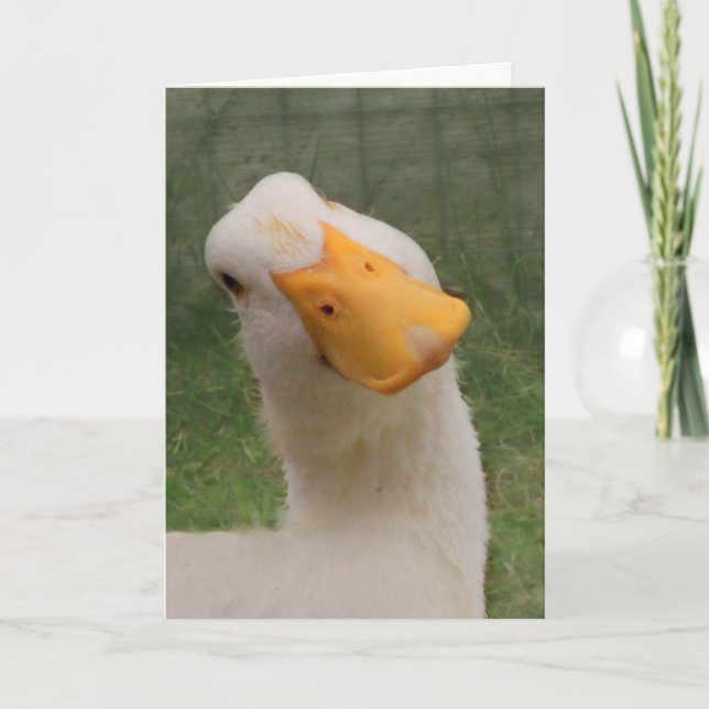 Cute White Goose Birthday Card (Front)