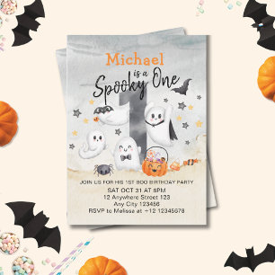 Cute White Grey Spooky One First Boo Birthday  Invitation