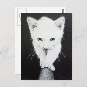 Cute white kitten Animal drawing art Cat lovers Postcard
