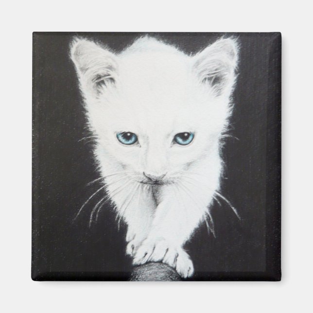 Cute white kitten pencil art Magnets (Front)