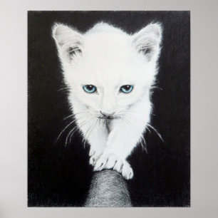 Cute white kitten pencil art Poster print