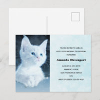 Cute White Kitten with Blue Eyes Birthday Invite