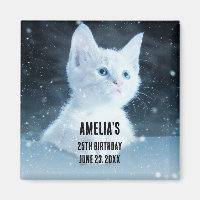 Cute White Kitten with Pretty Blue Eyes