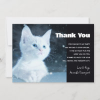 Cute White Kitten with Pretty Blue Eyes