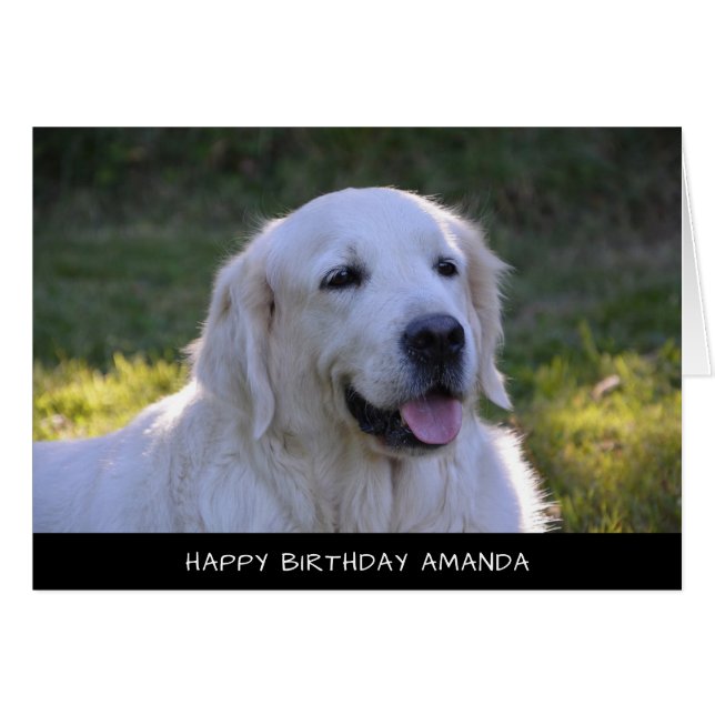 Cute White Labrador Dog Birthday Card (Front Horizontal)