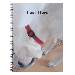 Cute White Labrador Mix Puppy Dog Back to School Notebook