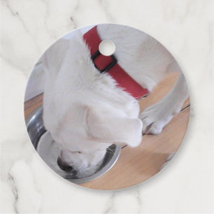 Cute White Labrador Mix Puppy Dog Drinking Water Favour Tags