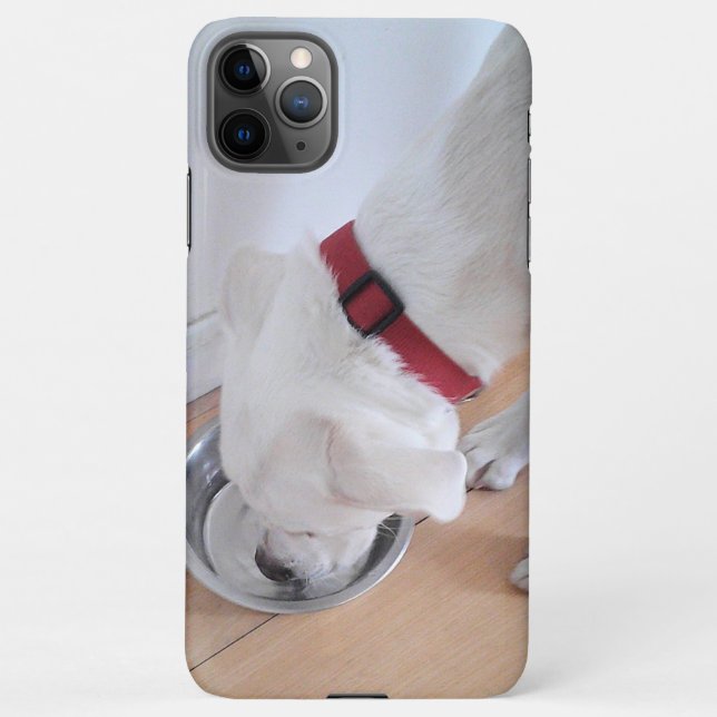Cute White Labrador Mix Puppy Dog Drinking Water iPhone Case (Back)