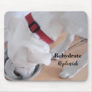Cute White Labrador Mix Puppy Dog Drinking Water M Mouse Pad