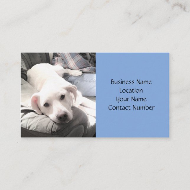 Cute White Lazy Puppy Dog on Couch With Dad Blue Business Card (Front)