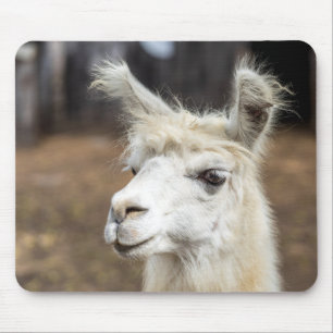 Cute White Llama Mouse Pad