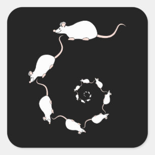 Cute White Mouse Design. Spiral of Mice. Square Sticker