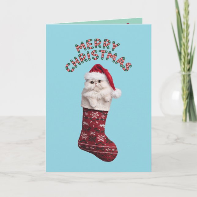 Cute White Persian Cat Christmas Card (Front)