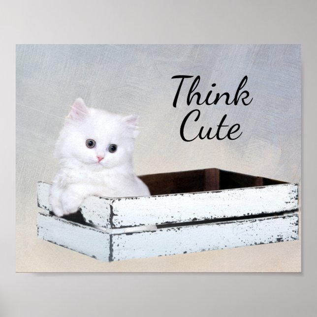 Cute White Persian Kitten Poster (Front)