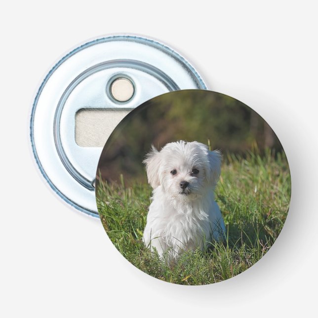 Cute white puppy bottle opener (Front)
