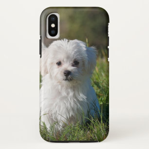 Cute white puppy Case-Mate iPhone case