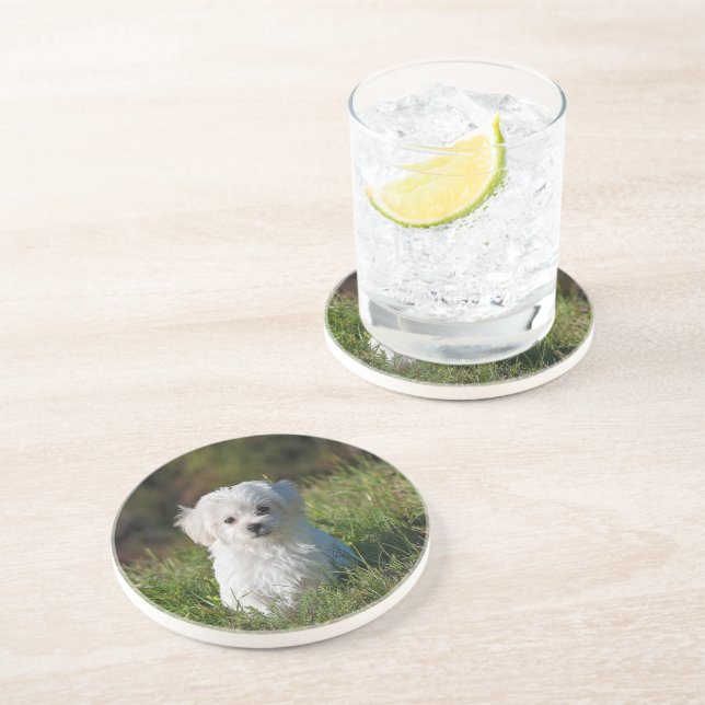 Cute white puppy coaster (Side)