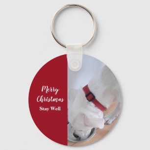 Cute White Puppy Dog Drinking Water Christmas Red Key Ring