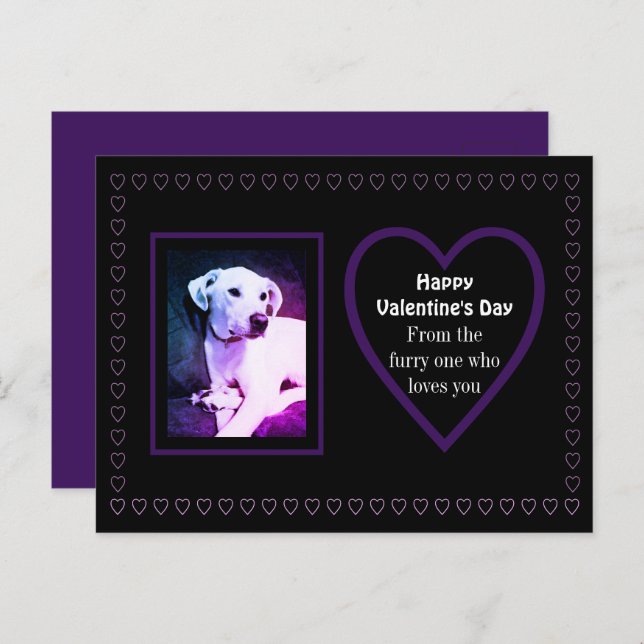 Cute White Puppy Dog Purple Hearts From Pets Postcard (Front/Back)