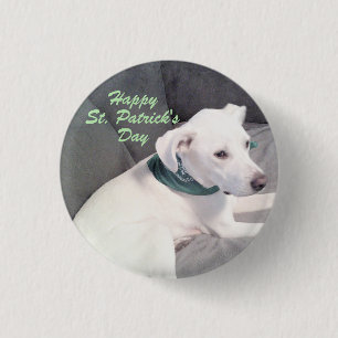 Cute White Puppy Dog St. Patrick's Day 3 Cm Round Badge